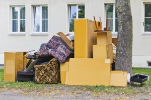 Reasons to Use Professional Junk Removal Services