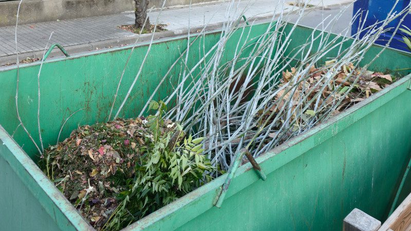 Why You Need Debris Cleanup Dumpsters